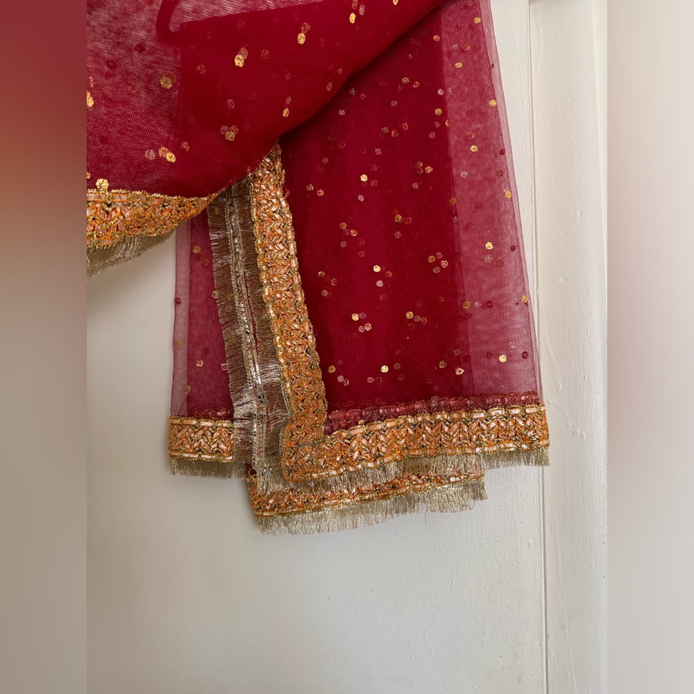 Fancy Net Dupatta - image 6